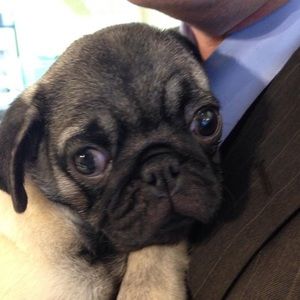 Meet your Posher, Leanne